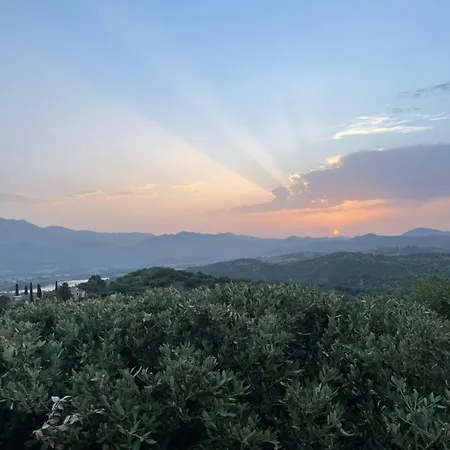 Vila Phi Oletta (Corsica)